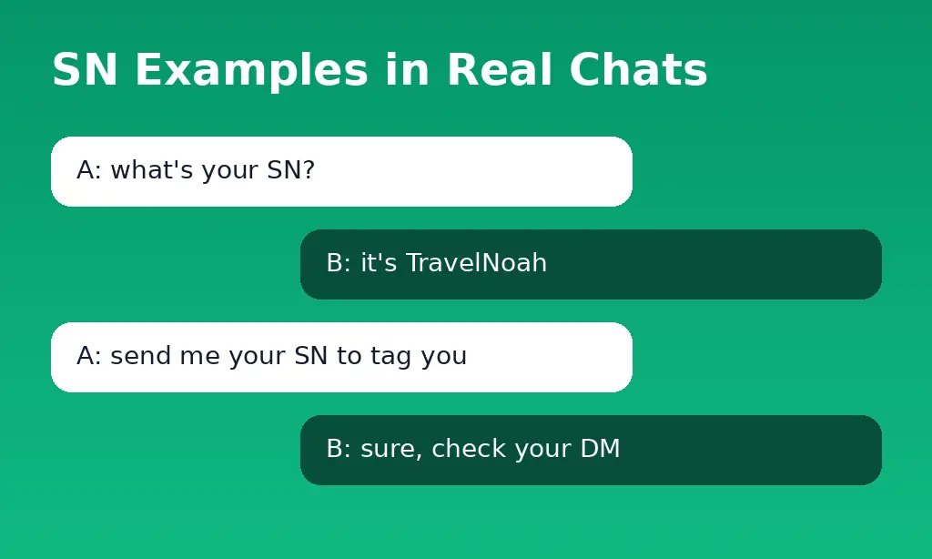 SN meaning in text examples in gaming and social media chats