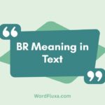 BR Meaning in Text