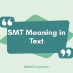 SMT Meaning in Text