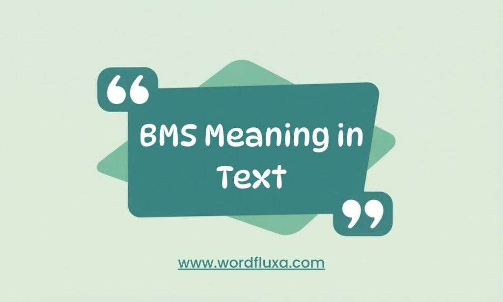 BMS Meaning in Text