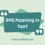 BMS Meaning in Text