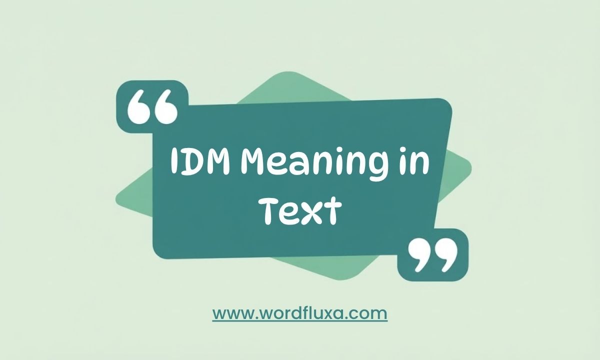 IDM Meaning in Text