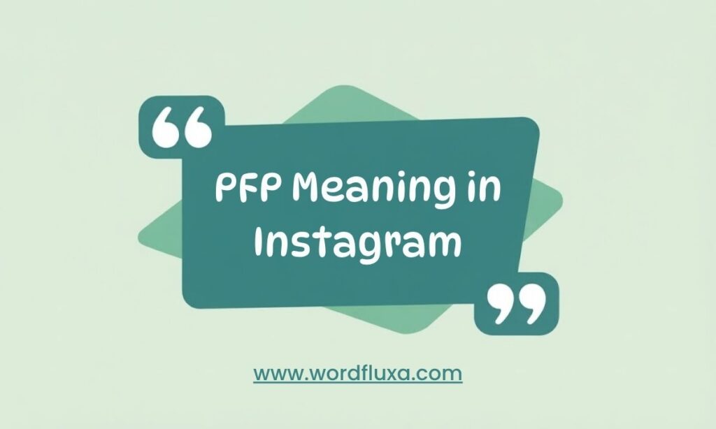 PFP Meaning in Instagram