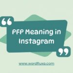 PFP Meaning in Instagram