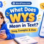 WYS Meaning in Text – Slang and Examples | WordFluxa